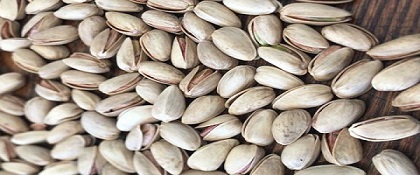 تصویر 1 از پسته اکبری تازه با پوست و بدون پوست در انواع رنگ